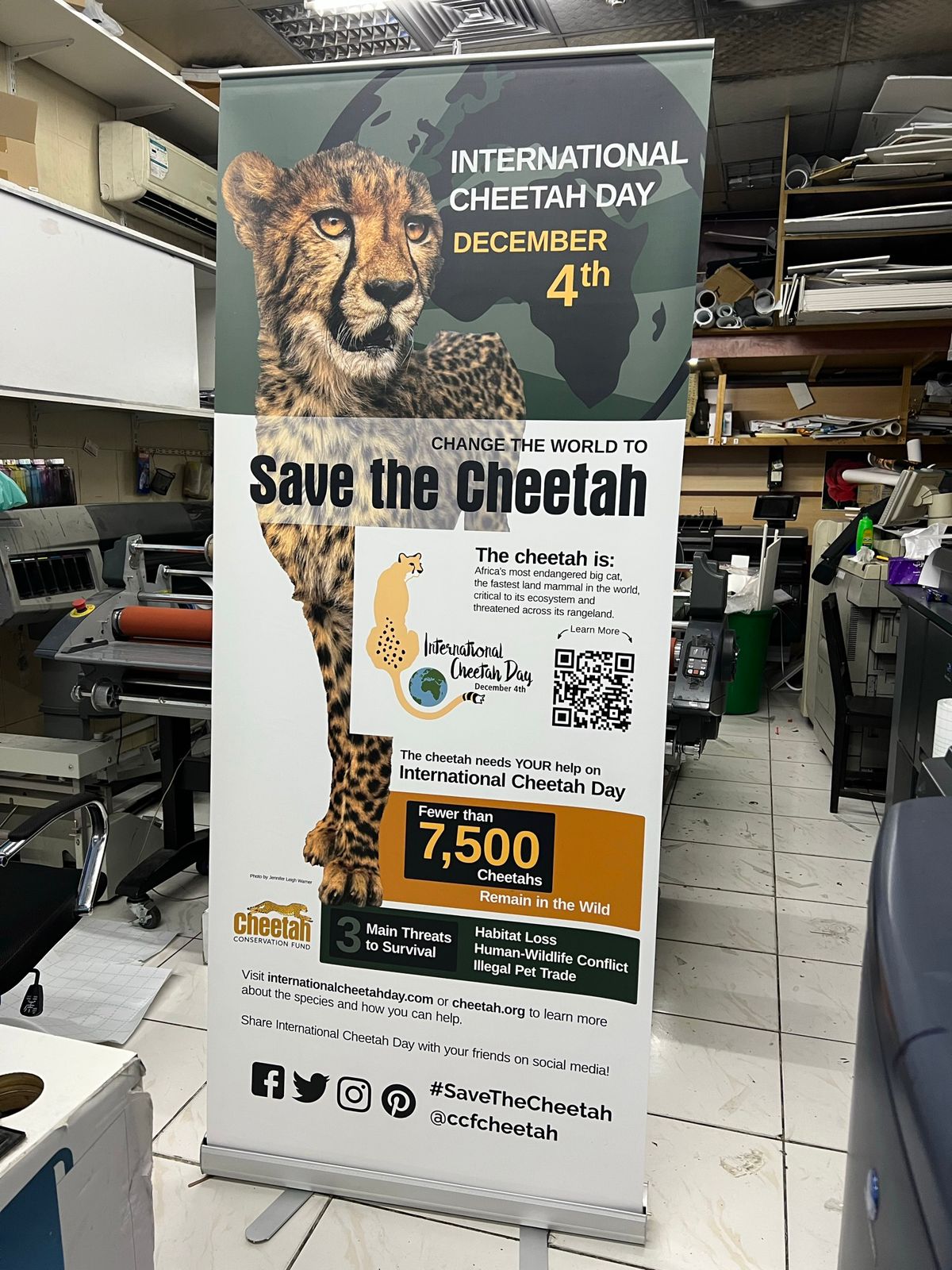 rollup banner printing services - Star Bay Print Centre